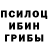 Галлюциногенные грибы Cubensis Huck Barry