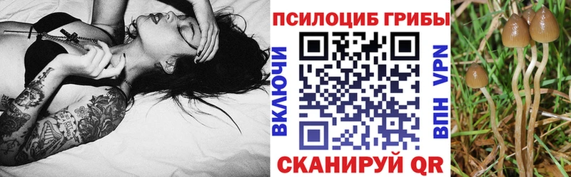 Псилоцибиновые грибы Psilocybe цены наркотик Омск